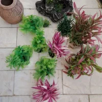 دو عدد آکواریوم با تجهیزات