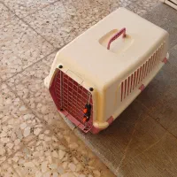 حیوانات اهلی