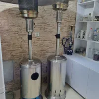 بخاری قارچی