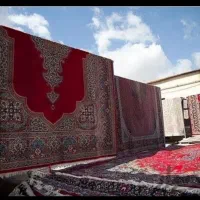 قالی شویی آبان|خدمات نظافت|کرمان, |دیوار