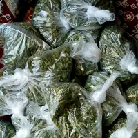 تره کوهی تاز