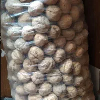 گردو درجه۱|خوردنی و آشامیدنی|رشت, خواهر امام|دیوار