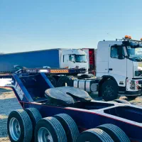 کمرشکن طارق و دالی ۱۱ ویژه