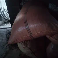 کاه گندم ریز