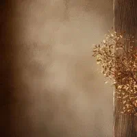 اجاره اتاق درسالن زیبایی دربهترین لوکیشن ابهر