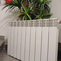 رادیاتور پره ای ایل پریمو بوتان