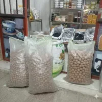 گردو کاغذی و مغز با کیفیت خوب و قیمت رقابتی