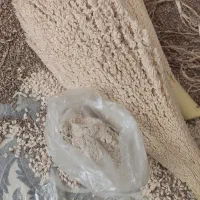 گرده نخل نر خالص دارویی