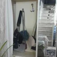 جاکفشی دراور تاج دار