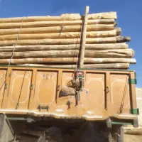 خرید چوب سقفی وهمه نوع چوب خریدارم