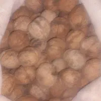 گردو پوست کاغذی