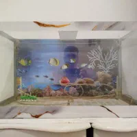 آکواریوم|ماهی|رباط‌کریم, مسکن مهر آبشناسان|دیوار