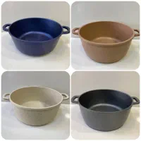 بازسازی ظروف تفلون چدن ۳۰ماه ضمانت(اعطای نمایندگی)