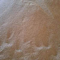 گندم آبی بذری|عمدهفروشی|زالیان, |دیوار