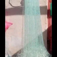 طور ماهی گیر