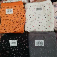 شورت میسپل ترکیه|لباس|شاهین‌شهر, عطار|دیوار