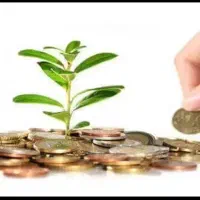 پرداخت سرمایه