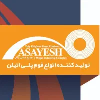 نیروی کار حرفه ای و مبتدی