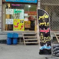 وسایل مرغ فروشی