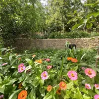 ویلا باغ مشرف به رودخانه واقع در روستای خبر بافت