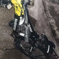 اولمپیا باکسر