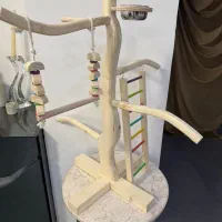 اسباب بازی، پارک بازی راهب، گرینچیک، هلندی