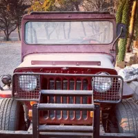 جیپ ویلیز آمریکایی بی نظیر