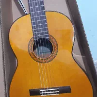 فروش و خرید انواع گیتار حتی شکسته