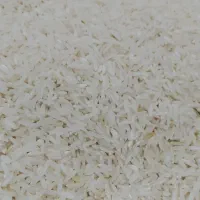 برنج هاشمی درجه یک گیلان
