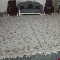 فرش 9متری جفت700شانه|فرش|رباطکریم, رباطکریم|دیوار