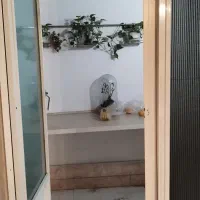 اجاره خانه ۸۰ متری یک ساله|اجارهٔ آپارتمان|تهران, شمسآباد|دیوار