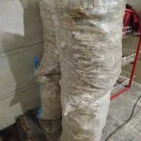 نان خشک|خوردنی و آشامیدنی|تربت جام, جامرود|دیوار