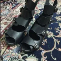 کفش مجلسی