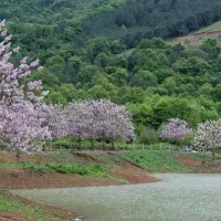زمین ۱۷۰ متری در توشن