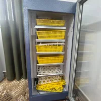 دستگاه جوجه کشی ۲۱۰عددی|لوازم جانبی حیوانات|بابل, |دیوار