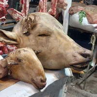 ذبح گوسفند زنده و گوسفند خونی|خدمات پذیرایی، مراسم|مشهد, انقلاب|دیوار