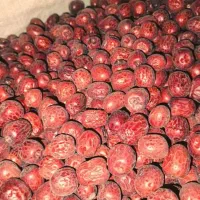 عناب زعفران و زرشک|خوردنی و آشامیدنی|شیراز, دروازه قران|دیوار