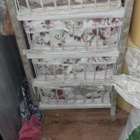 استند سیب زمینی و پیاز