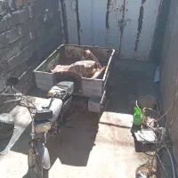 موتور سه چرخ