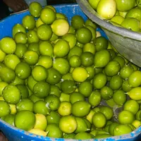 ابلیموگیری  سبحان|خوردنی و آشامیدنی|بندرعباس, |دیوار
