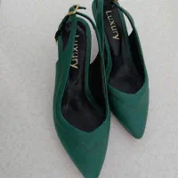 کفش مجلسی|کیف، کفش، کمربند|نطنز, |دیوار