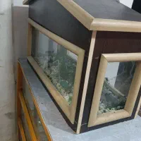 اکواریوم|ماهی|یاسوج, |دیوار