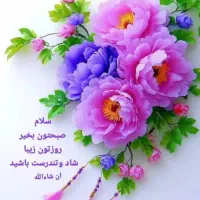دواطلبانه