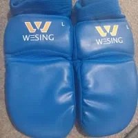 روپا ویسینگ ووشو