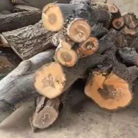 چوب گرده بینه تنه گردو مغزدار ۸تن