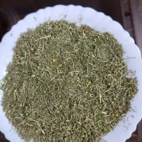 بابونه بابونه کوهی