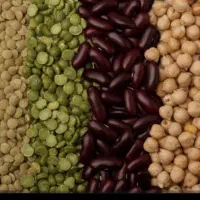 استخدام و کار در منزل