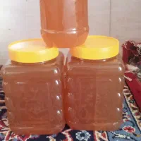 عسل طبیعی سپیدان|عمدهفروشی|سپیدان, |دیوار