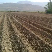 زمین-کشاورزی