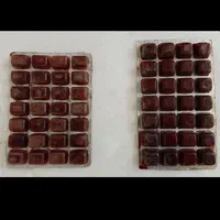 آکواریوم شهر ماهی|ماهی|کرمانشاه, |دیوار